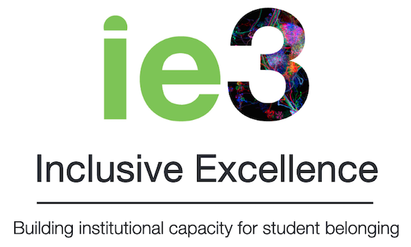 ie3: Inclusive Excellence Building institutional capacity for student belonging